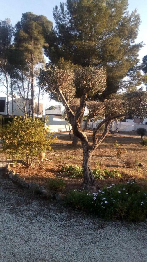 Pinomar Apartman Teulada Kültér fotó